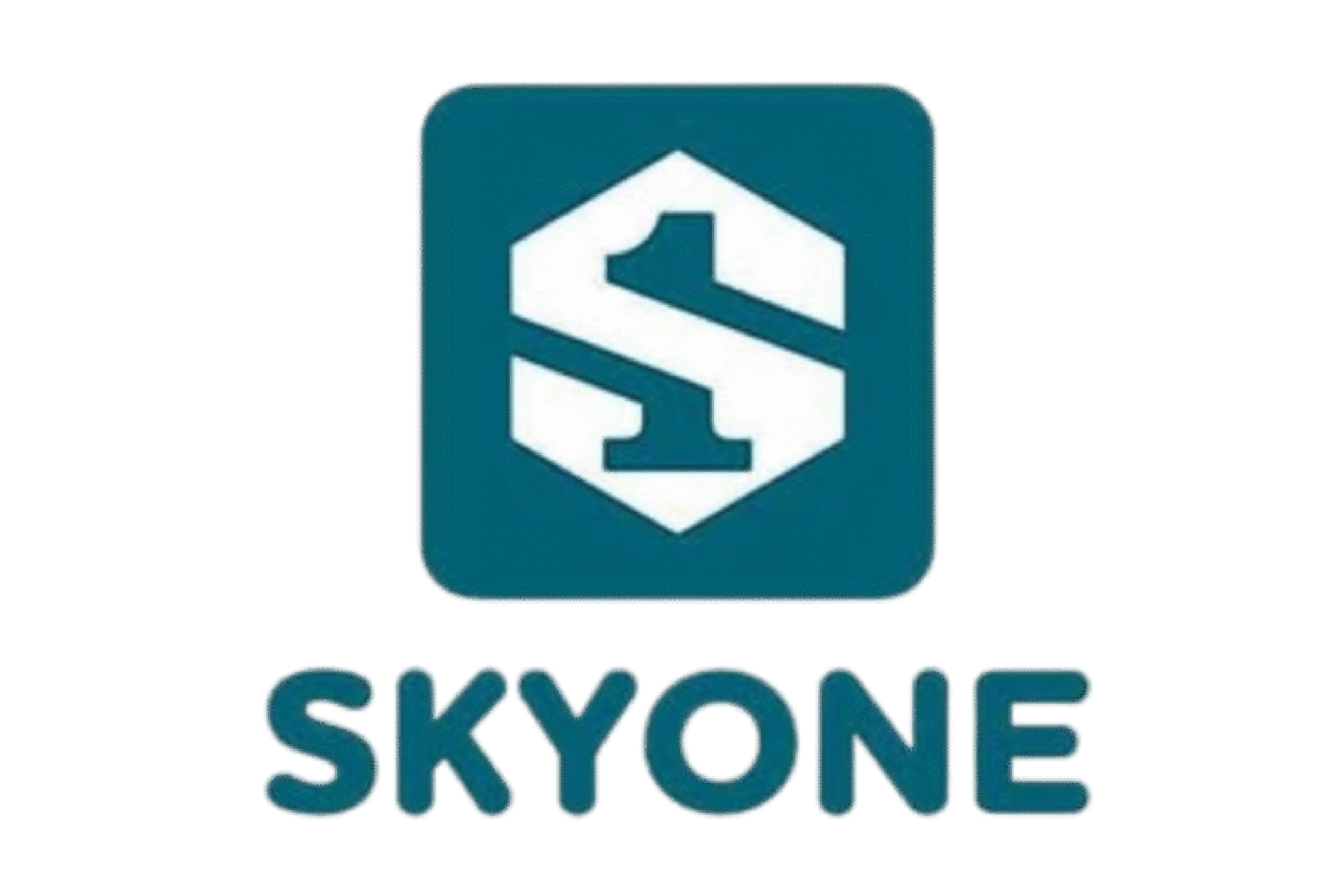 Skyone